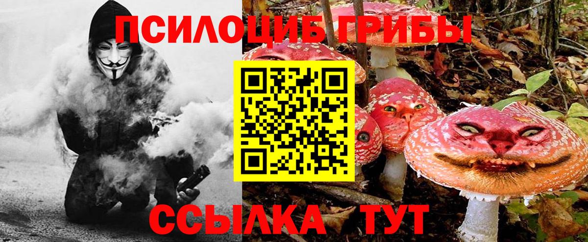 Галлюциногенные грибы Cubensis  Галлюциногенные грибы Cubensis  Вход с VPN  Назарово 